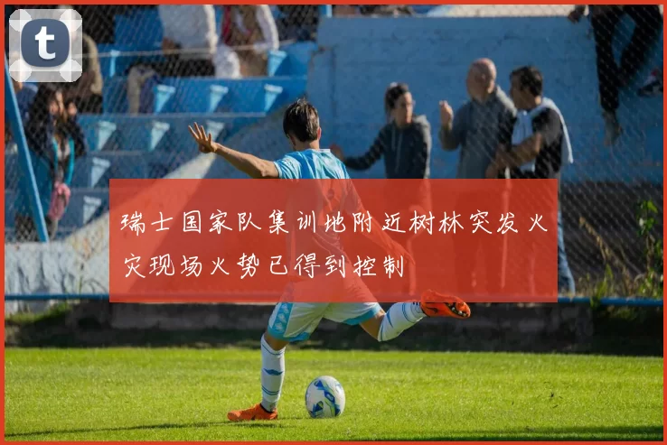 瑞士国家队集训地附近树林突发火灾现场火势已得到控制