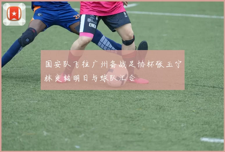 国安队飞往广州备战足协杯张玉宁林良铭明日与球队汇合