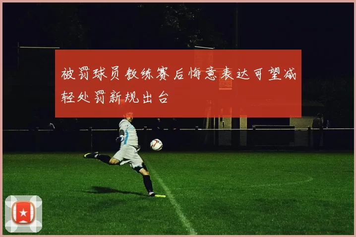 被罚球员教练赛后悔意表达可望减轻处罚新规出台