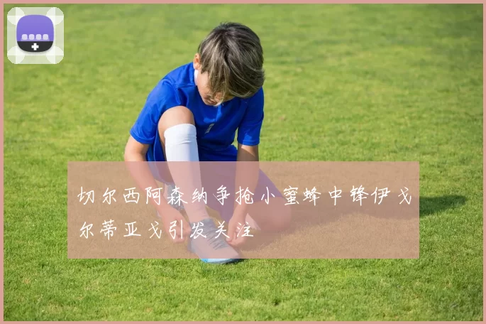 切尔西阿森纳争抢小蜜蜂中锋伊戈尔蒂亚戈引发关注